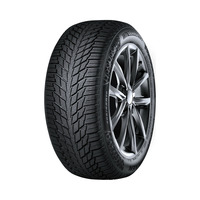 245/45  R18  Nexen Winguard Ice 3 100T XL